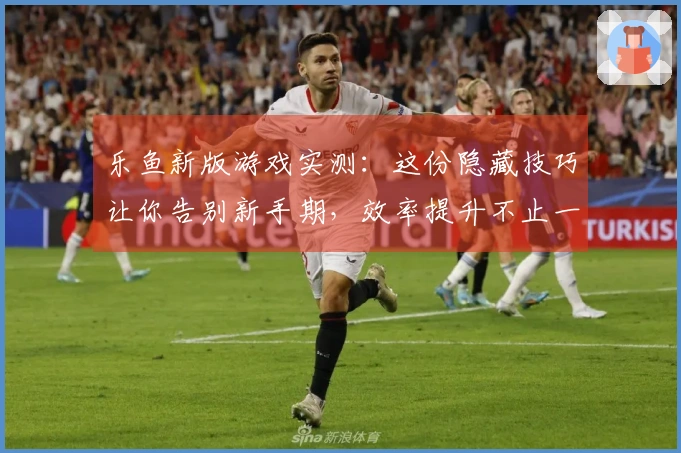乐鱼新版游戏实测：这份隐藏技巧让你告别新手期，效率提升不止一点