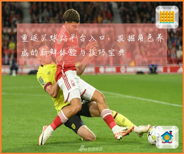 重返买球站平台入口，发掘角色养成的新鲜体验与技巧宝典