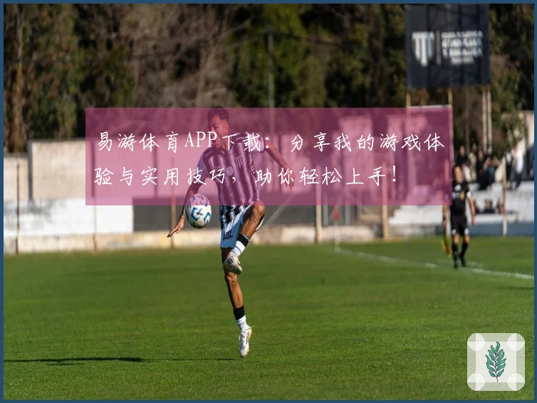 易游体育APP下载：分享我的游戏体验与实用技巧，助你轻松上手！